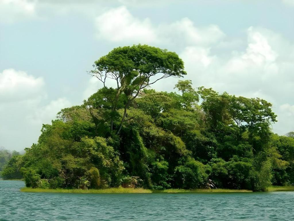 Hotel Melia Panama Canal Колон Экстерьер фото